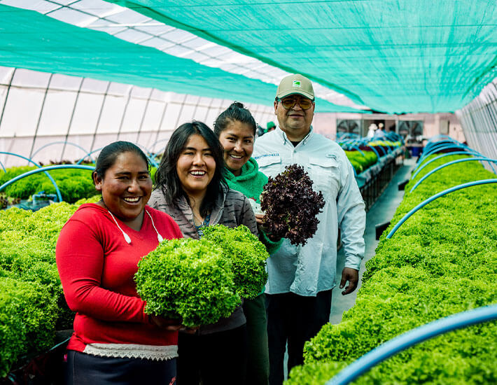comunidades proyecto programa de produccion hidroponica socaire talabre